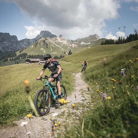 Mini-hôtel Hotel Landhaus Saanen